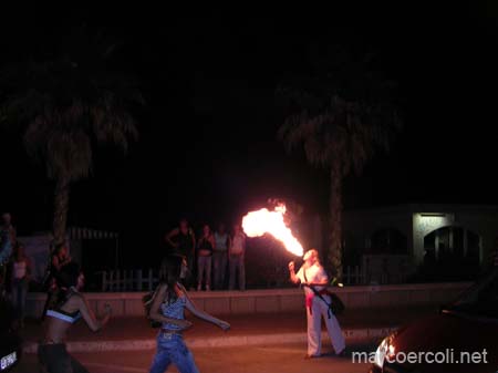 DSCN3861